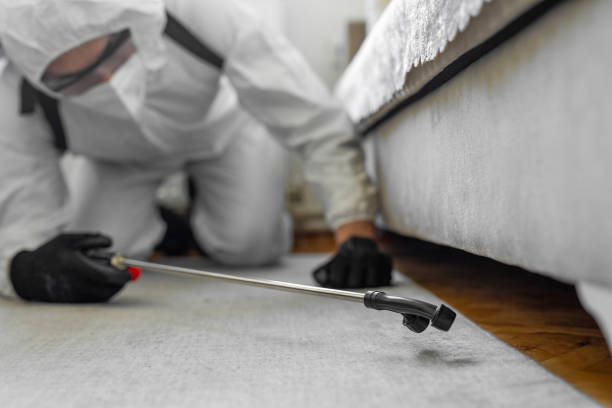 Professional Bed Bug Control technician working in Hall County County, NE